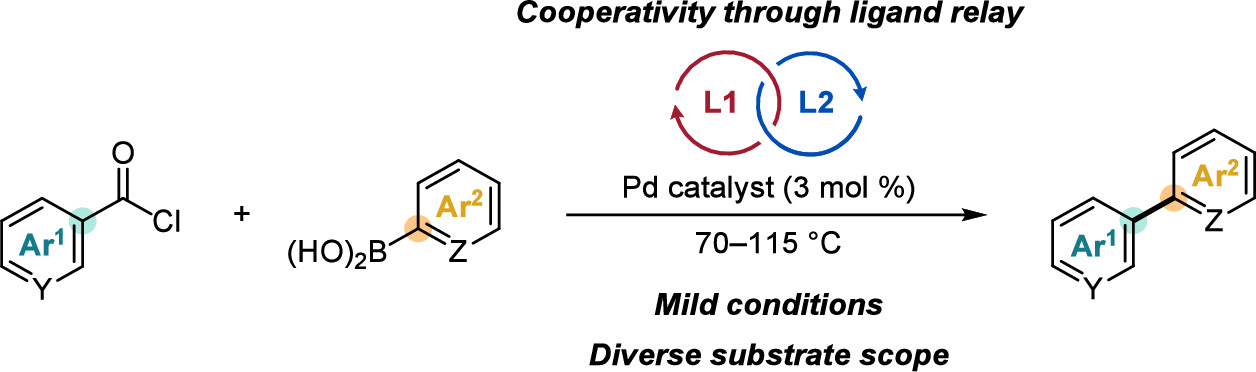 Accelerating the discovery of multicatalytic cooperativity