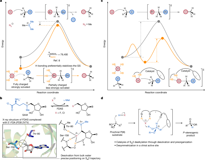 Catalysis of An S<sub>N</sub>2 Pathway by Geometric Preorganization