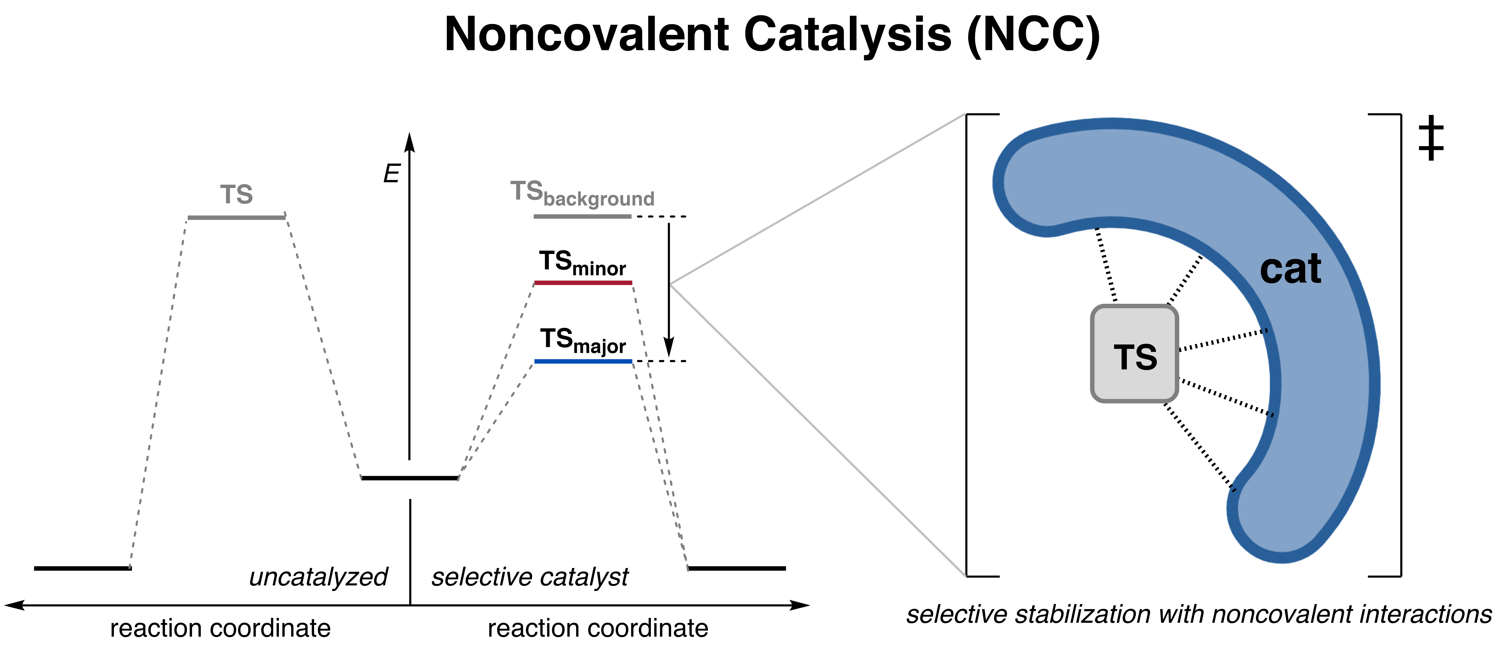 Selective Noncovalent Catalysis with Small Molecules